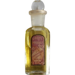 Violette Imperiale von J.F. Schwarzlose Berlin