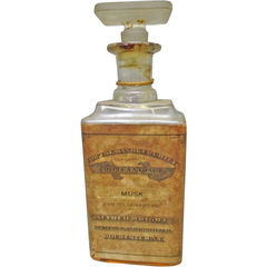 Musk by Alfred Wright