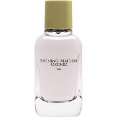 Evening Maiden Orchid by Zara
