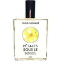 Pêtales sous Le Soleil von 1000 Flowers