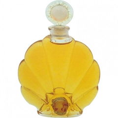 Œillet by Unknown Brand / Unbekannte Marke