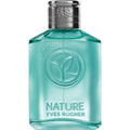 Nature - Cyprès et Pamplemousse
