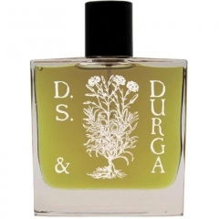 Boston Ivy von D.S. & Durga