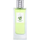 Tangerina Verde von Tania Bulhões