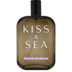 Ficus Carica von Samam