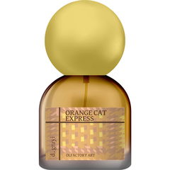 Orange Cat Express by D. Grayi