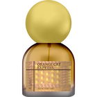 Orange Cat Express von D. Grayi