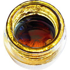 Green Mountain (Perfume Oil) by Wild Veil Perfume