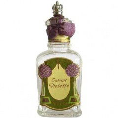 Extrait Violette by Dalton