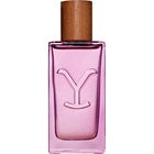 Yellowstone Dusk von Yellowstone