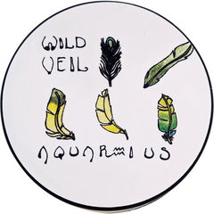 Aquarius by Wild Veil Perfume