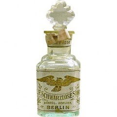 Le Chypre Celtic by Isabey