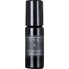 Fern and Moss / Fern von Lvnea