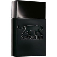 Cool Instinct by Airness