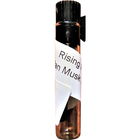 Man Musk Attar von The Rising Phoenix Perfumery