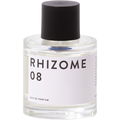 Rhizome 08 von Rhizome