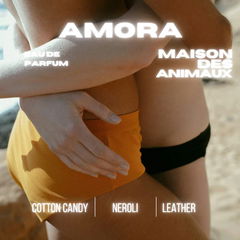 Amora von Maison des Animaux
