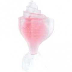 Color Collection - Pink Conch by Seajewels