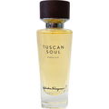 Punta Ala (Eau de Toilette) by Salvatore Ferragamo