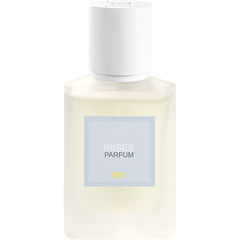 Irises / 鸢尾丛 by Maison Shan