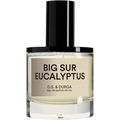 Big Sur Eucalyptus von D.S. & Durga