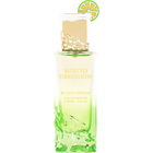 Mojito Obsession von Gulf Orchid