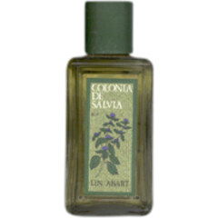 Colonia de Salvia von Lin Abart
