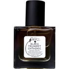 Black Trumpet Chthonic by Phoenix Botanicals