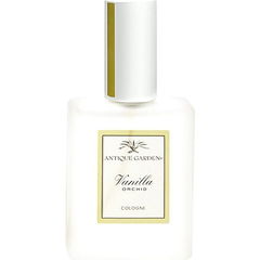 Antique Garden - Vanilla Orchid by California Fleurish