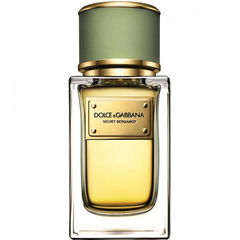 Velvet Bergamot by Dolce & Gabbana