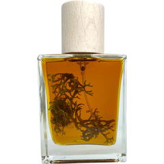 Eau de Chypre by Aromas de Salazar