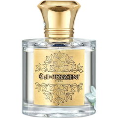 Terra von Quintesscent