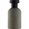Itruk von Bois 1920