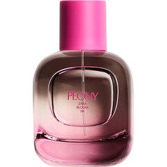 Zara Bloom 04 - Peony by Zara