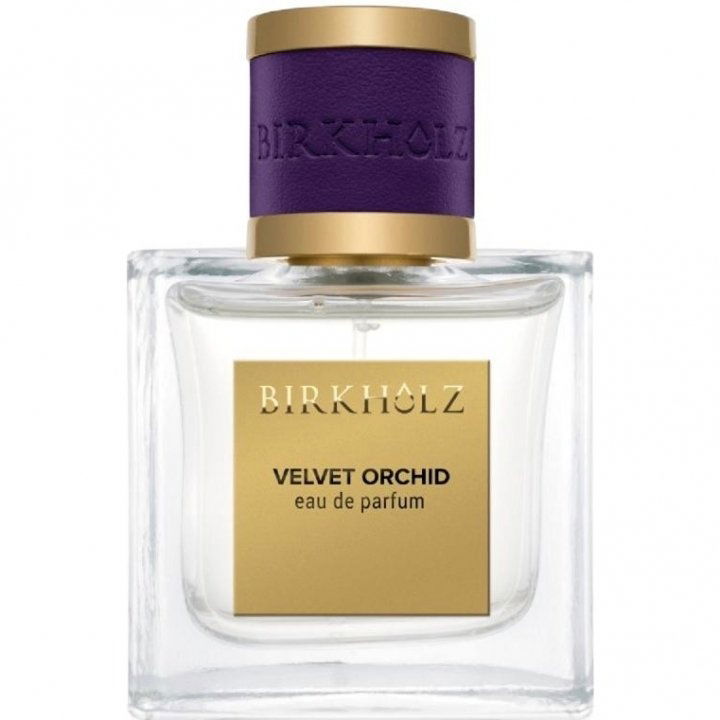 Velvet Orchid von Birkholz