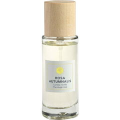 Rosa Autumnalis by Rosae Virtus