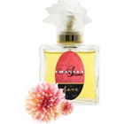 Jane von Charley Stone