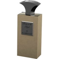 Party in the Night by Flamboyant