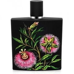 Passiflora by Nest