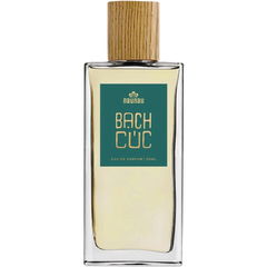 Bạch Cúc von NauNau