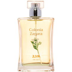 Colonia Zagara von Zuma