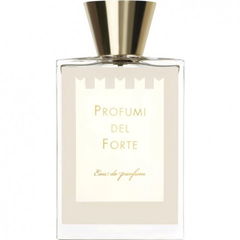 Vetiver Moderno von Profumi del Forte