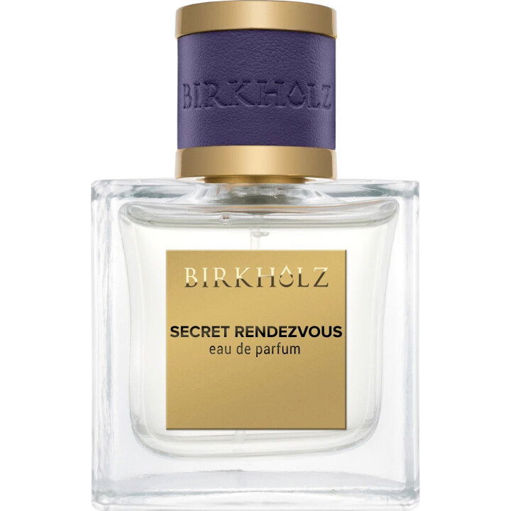 Secret Rendezvous von Birkholz