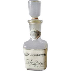 Rose Geranium von Lightner