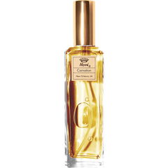Carnation (Cologne) by Hové