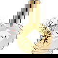 Nova von Nova