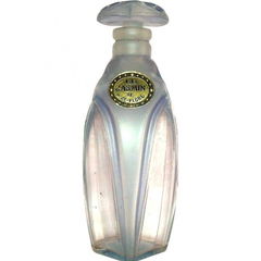 Le Jasmin von Nice-Flore