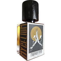 Mycelium by Treading Water Perfume