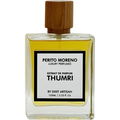 Thumri by Perito Moreno