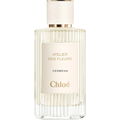 Verbena by Chloé